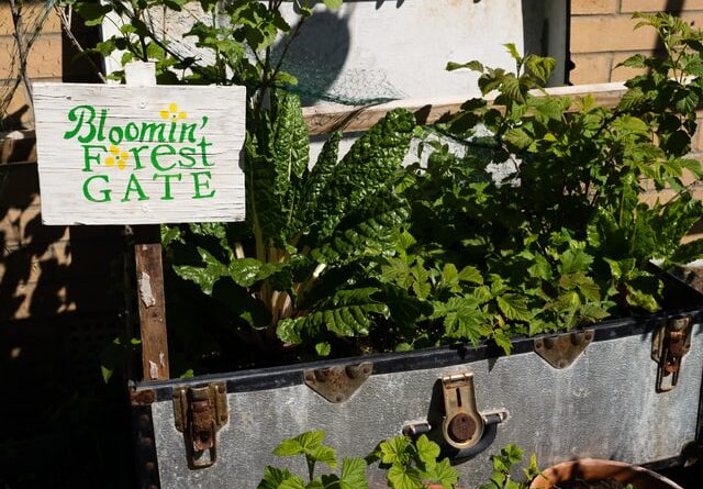 Survival Garden Secrets - How To Grow Food In Small Spaces